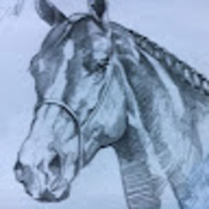 Meet your Posher, Rowan